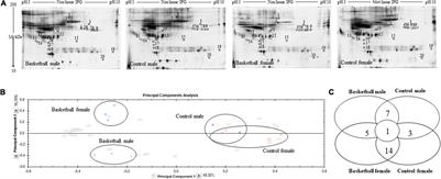 Modulation of Plasma Proteomic Profile by Regular Training in Male and Female Basketball Players: A Preliminary Study